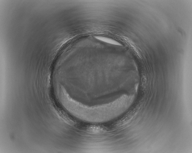 X0000115160596200911171303