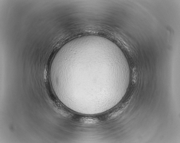 X0000115160597200911171303