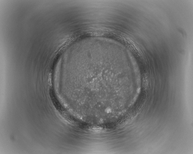 X0000115160598200911171303