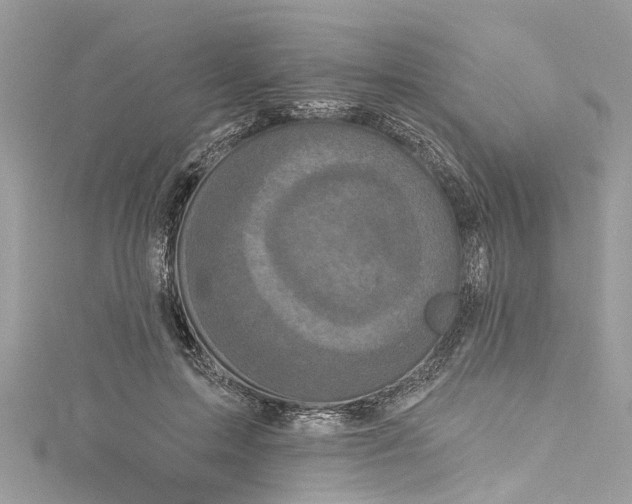 X0000115160599200911171303