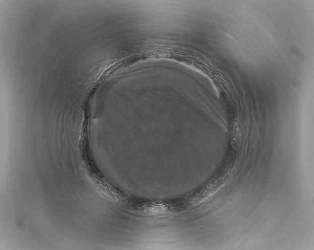 X0000115160600200911171303