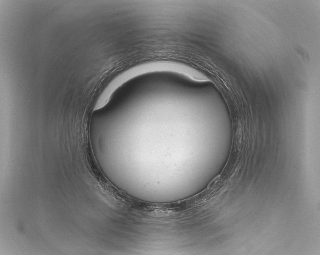 X0000115160601200911171303