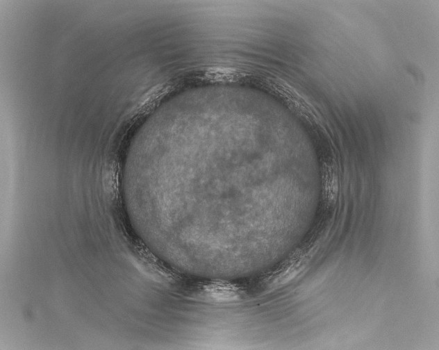 X0000115160603200911171303