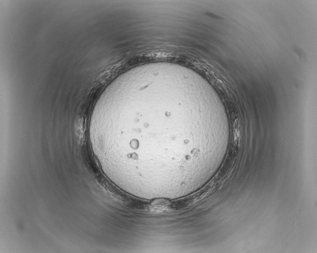 X0000115160605200911171303