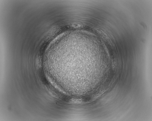 X0000115160606200911171303