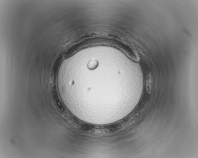 X0000115160608200911171303