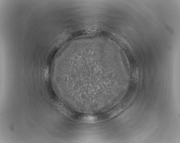 X0000115160610200911171303