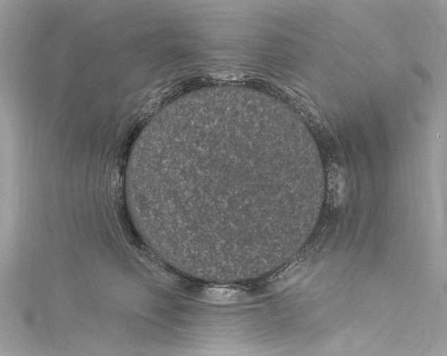 X0000115160614200911171303