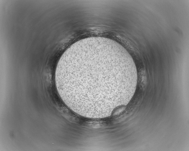 X0000115160615200911171303