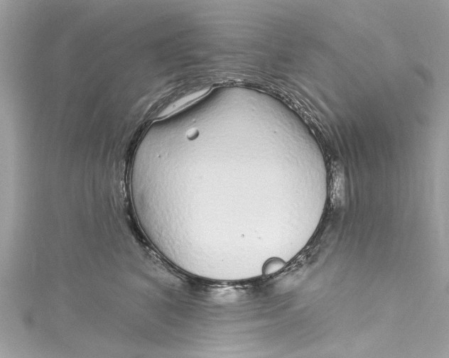 X0000115160616200911171303