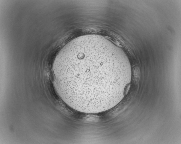 X0000115160617200911171303