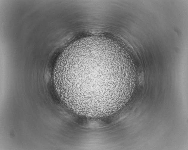 X0000115160618200911171303