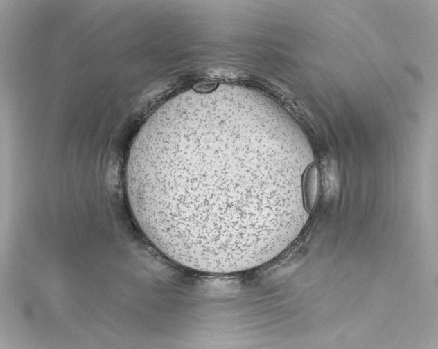 X0000115160619200911171303