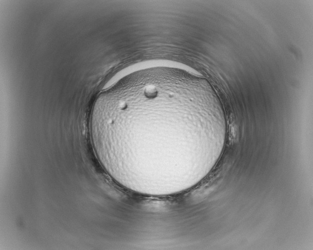 X0000115160620200911171303