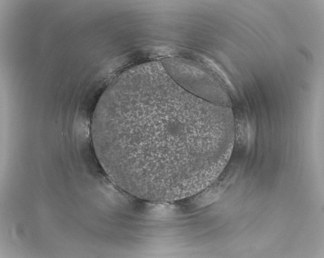 X0000115160621200911171303