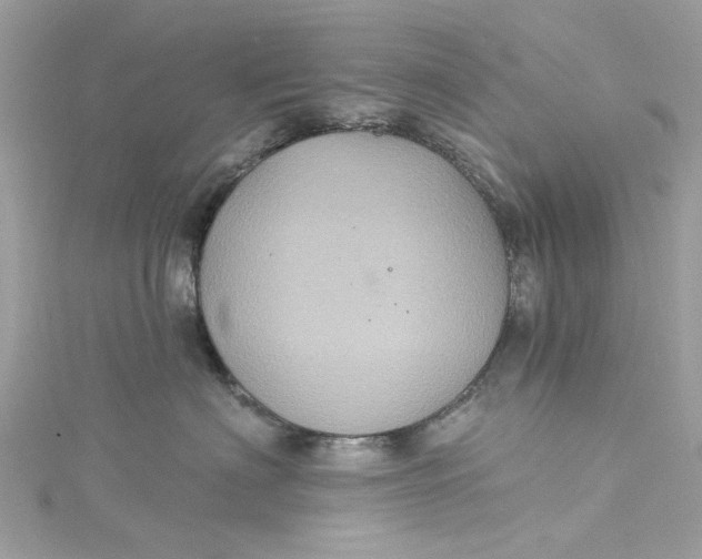 X0000115160622200911171303