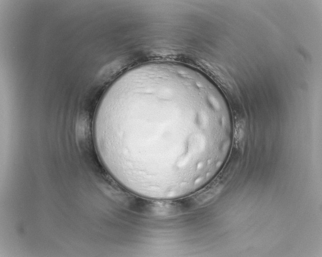 X0000115160623200911171303