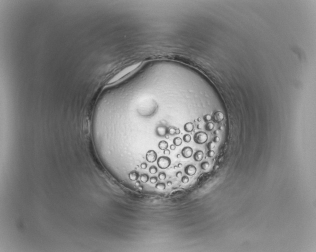 X0000115160624200911171303