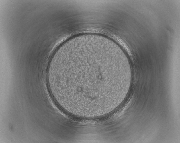 X0000115160625200911171302