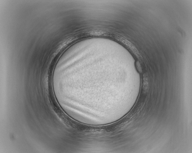 X0000115160626200911171302