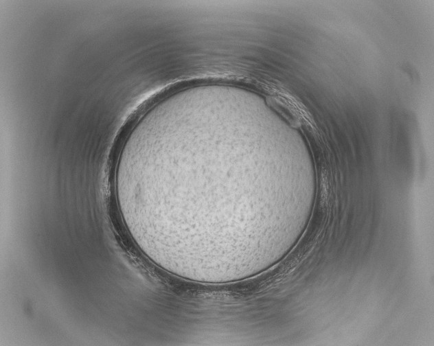 X0000115160628200911171302