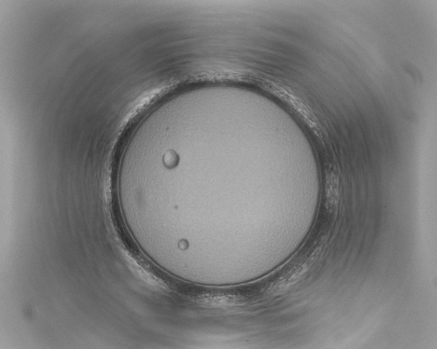 X0000115160629200911171302