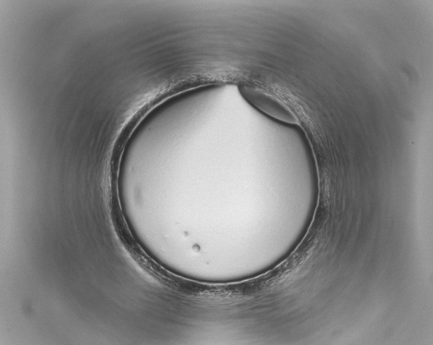 X0000115160630200911171302