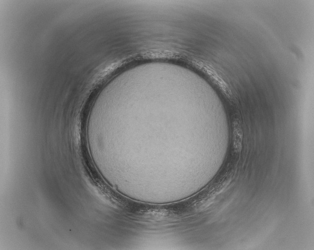 X0000115160631200911171302