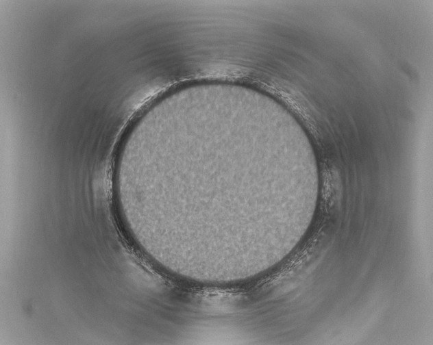 X0000115160632200911171302