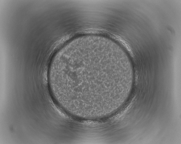 X0000115160633200911171302