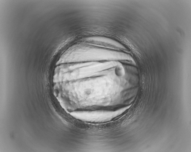 X0000115160634200911171302