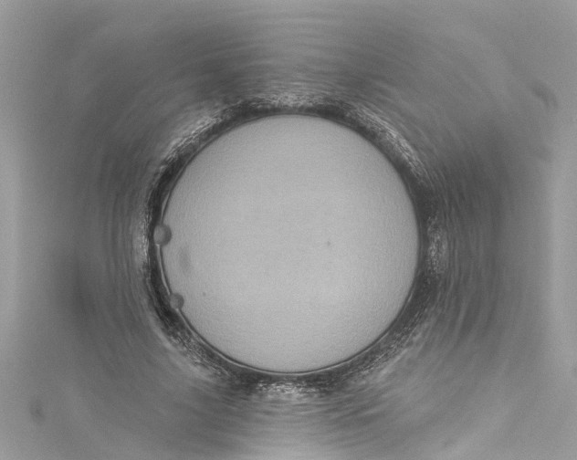 X0000115160635200911171302