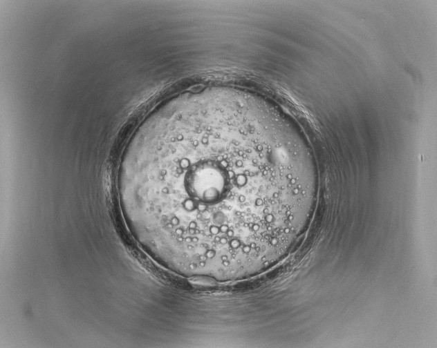 X0000115160637200911171302