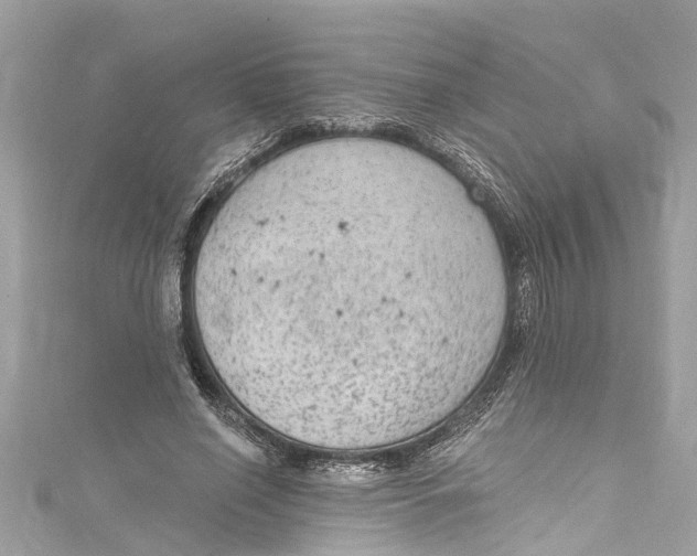 X0000115160638200911171302