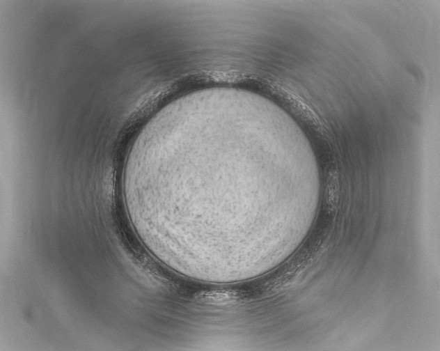 X0000115160639200911171302