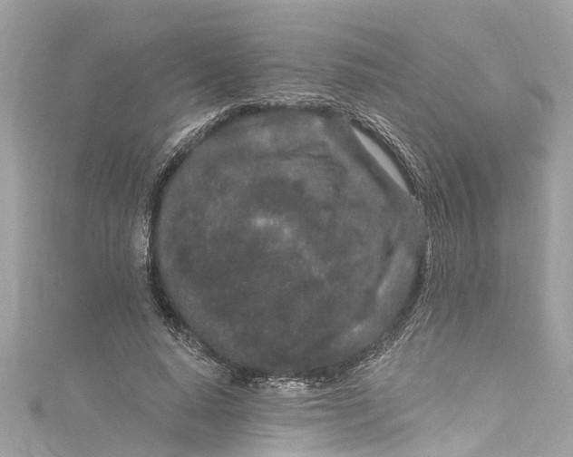 X0000115160640200911171302