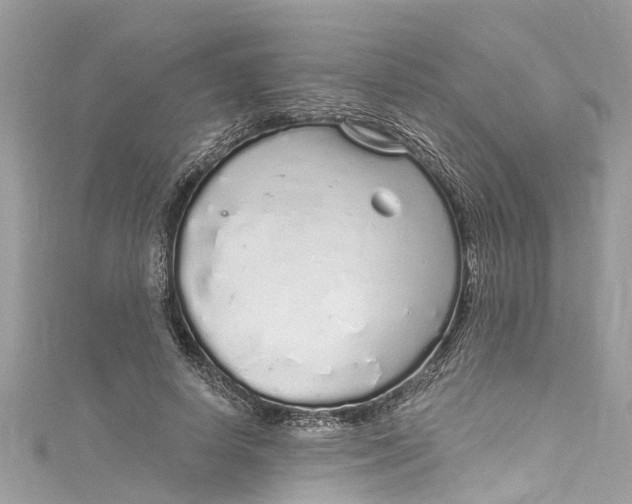 X0000115160642200911171302