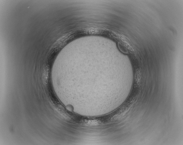 X0000115160645200911171302