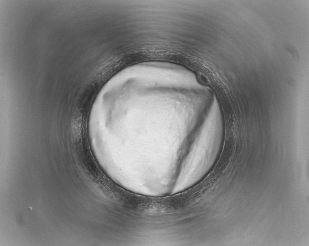 X0000115160647200911171302