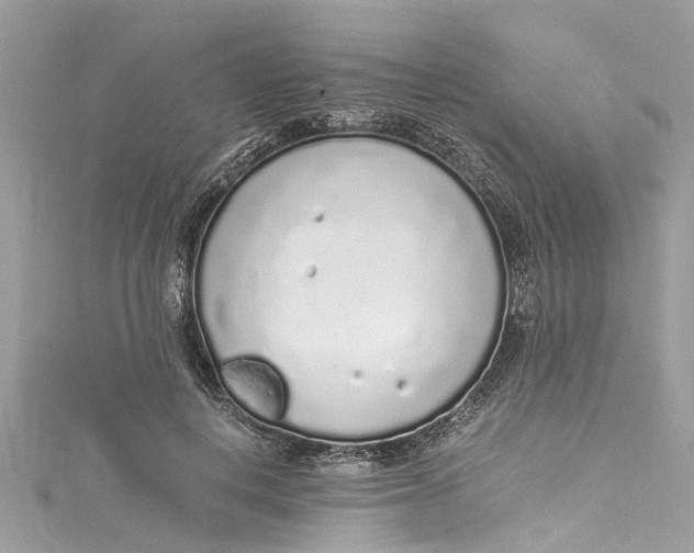 X0000115160648200911171302