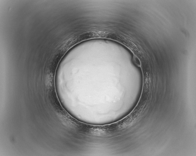 X0000115160649200911171302