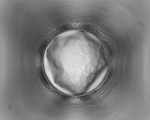 X0000115160651200911171302