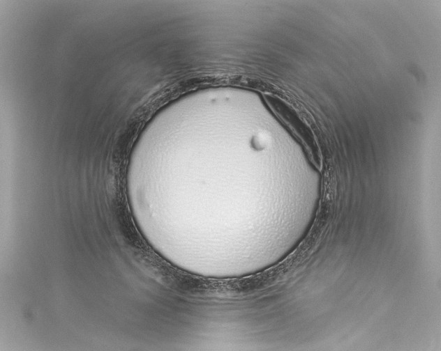 X0000115160656200911171302