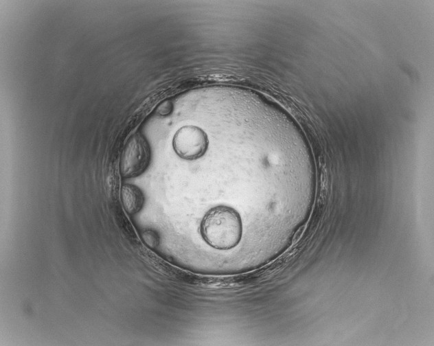 X0000115160657200911171302