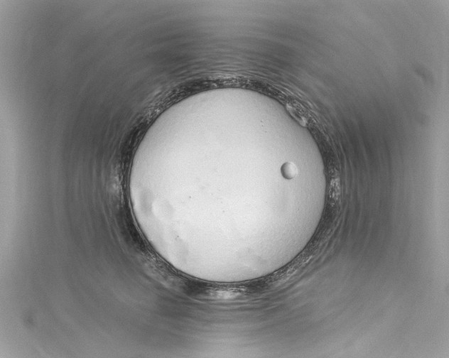 X0000115160662200911171303