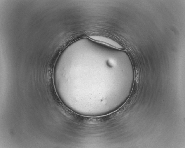 X0000115160664200911171303