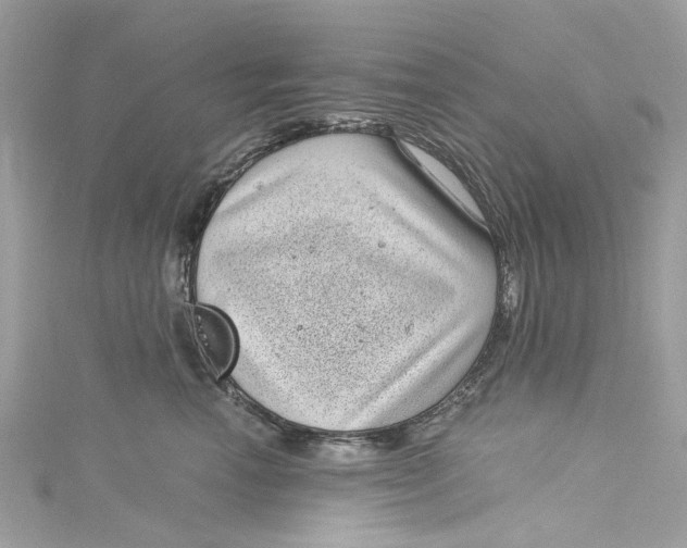 X0000115160666200911171303