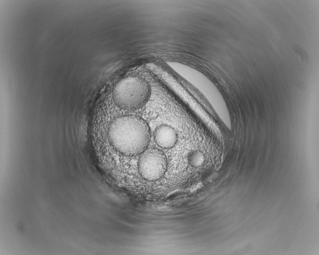 X0000115160668200911171303