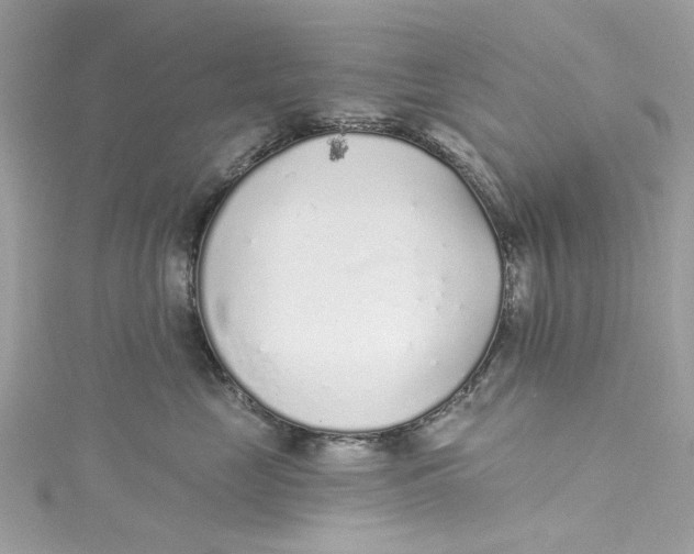 X0000115160669200911171303