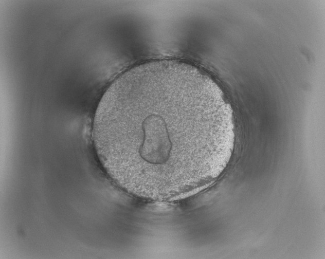 X0000115160672200911171303